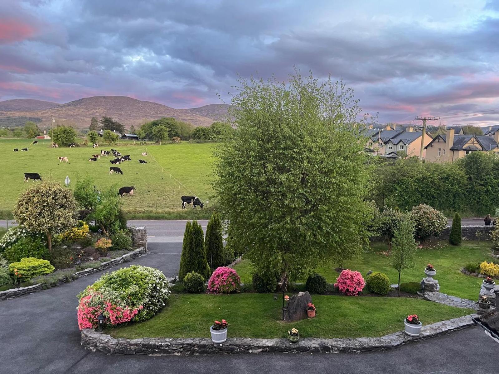 Laburnum B&B Kenmare Exterior foto